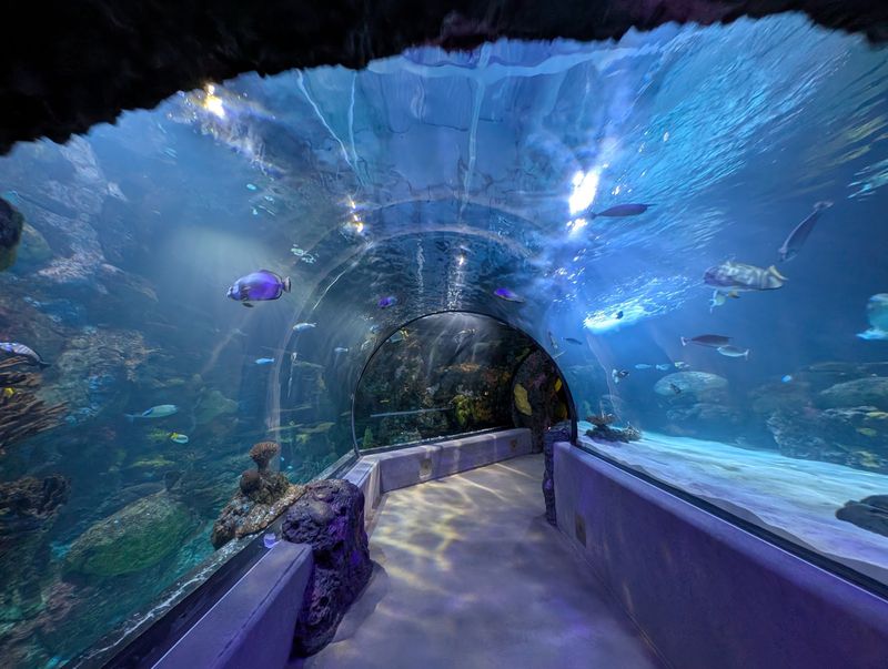Virginia Aquarium and Marine Science Center Virginia Aquarium and Marine Science Center
