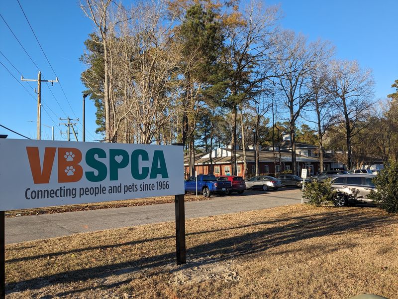 Virginia Beach SPCA Virginia Beach SPCA