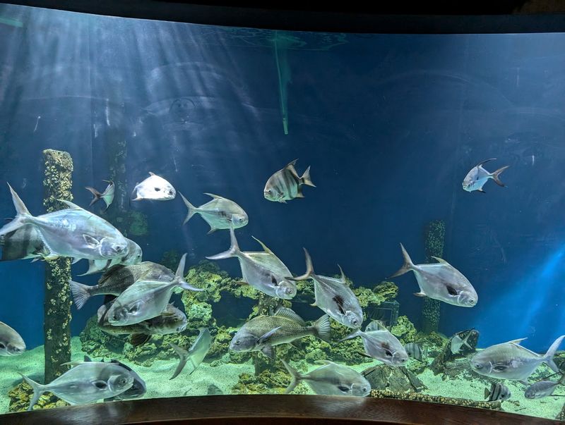 Virginia Living Museum, Newport News, VA