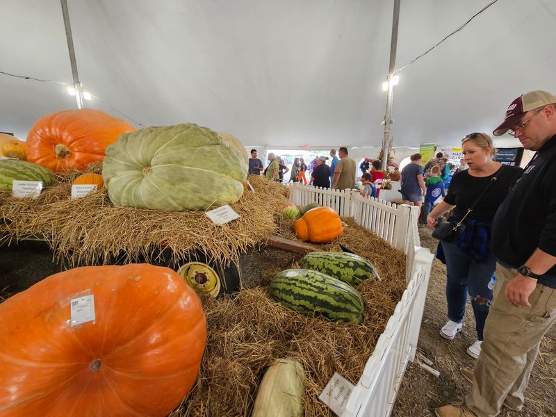 Virginia State Fair, Doswell, VA
