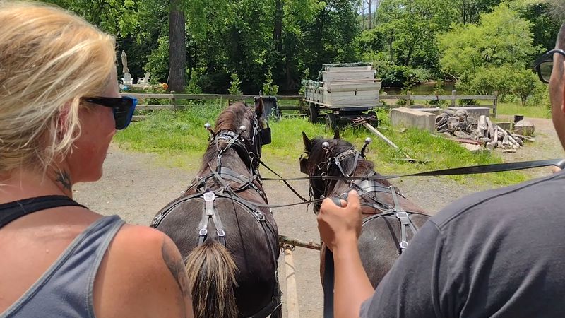 Wagon Rides For Those Who Prefer Both Feet Down