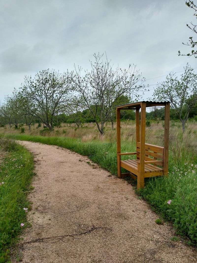 Walking The Ann Hamilton Trail
