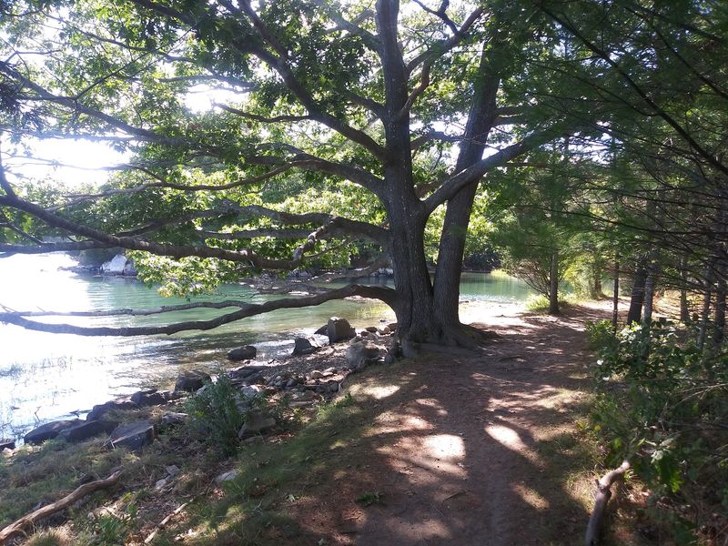 Wander the Little Harbor Loop Trail Wander the Little Harbor Loop Trail