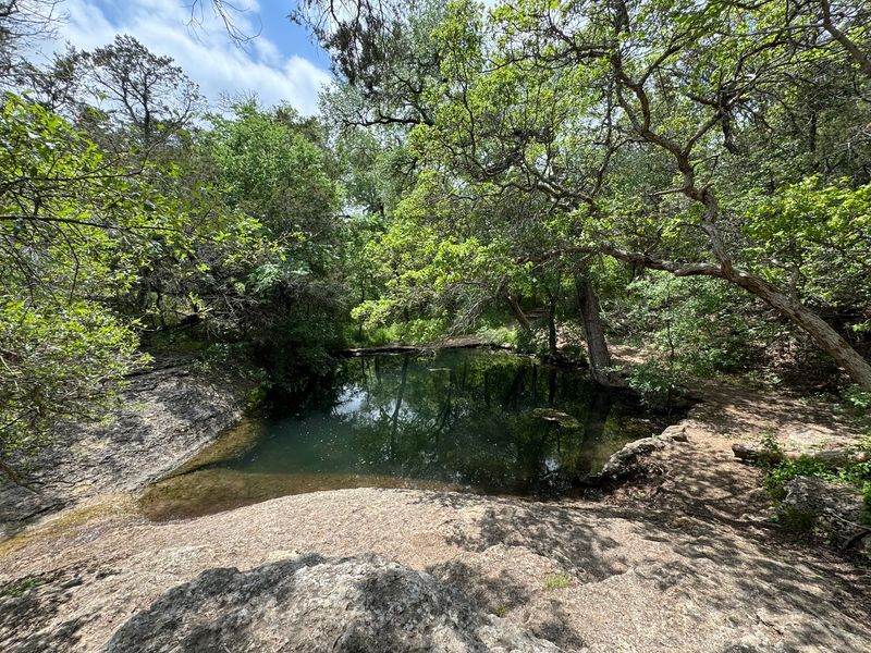 Wandering The Leon River Bottomlands
