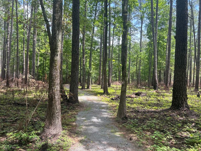 Washington Ditch Trail, Great Dismal Swamp National Wildlife Refuge Washington Ditch Trail, Great Dismal Swamp National Wildlife Refuge