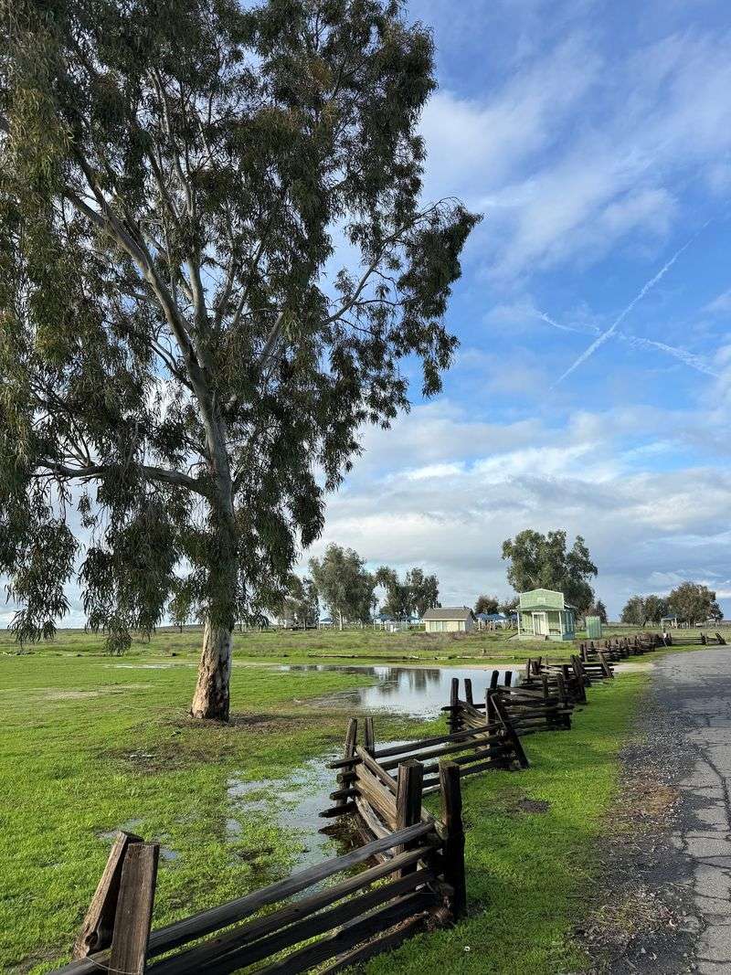 Water, Loss, and the Hard Years Water, Loss, and the Hard Years