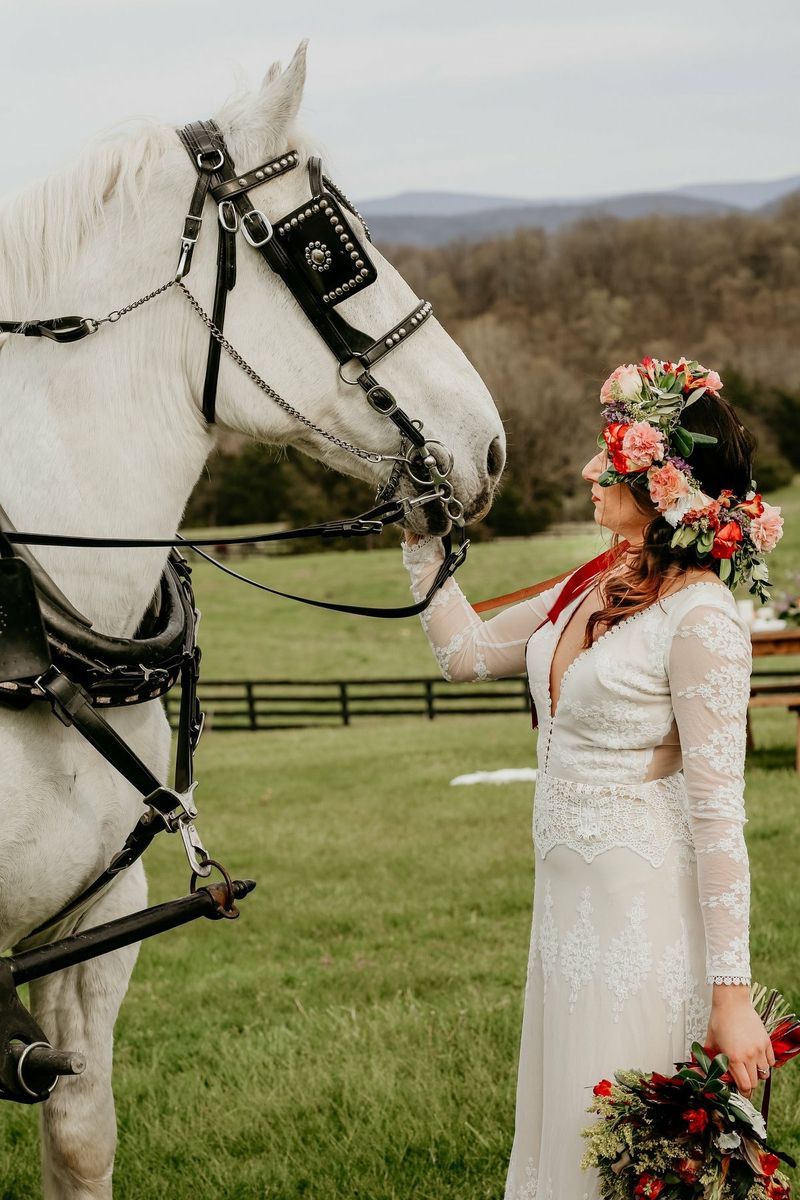 Wedding Exits That Beat Any Getaway Car Wedding Exits That Beat Any Getaway Car