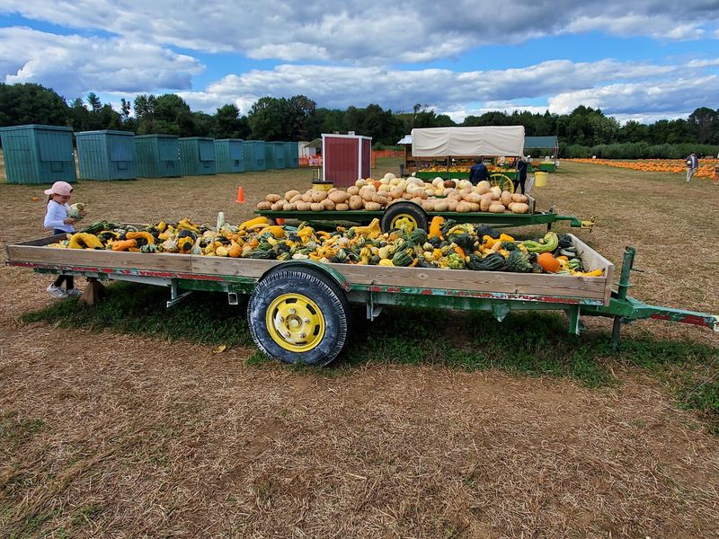Weekend Hayrides Rolling Between The Trees Weekend Hayrides Rolling Between The Trees