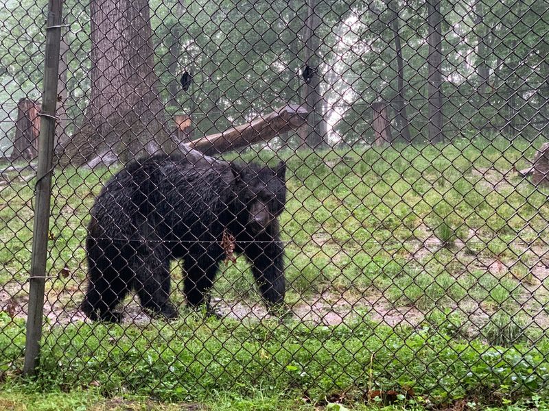 West Virginia State Wildlife Center, French Creek, WV