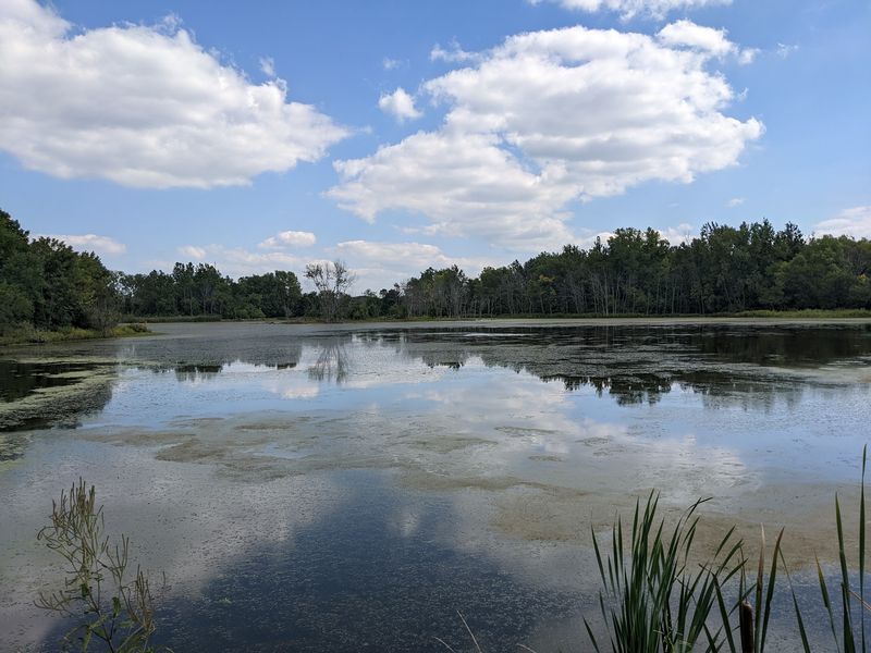 Wetlands, Wooded Trails, and Quiet Water