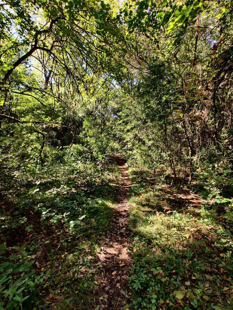 Weyanoke Bird and Wildflower Sanctuary, Norfolk, Virginia Weyanoke Bird and Wildflower Sanctuary, Norfolk, Virginia