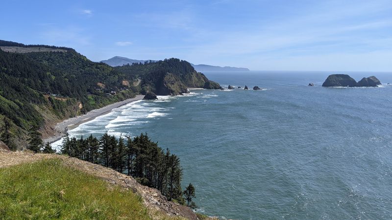 Whale Watching From the Headland Edge