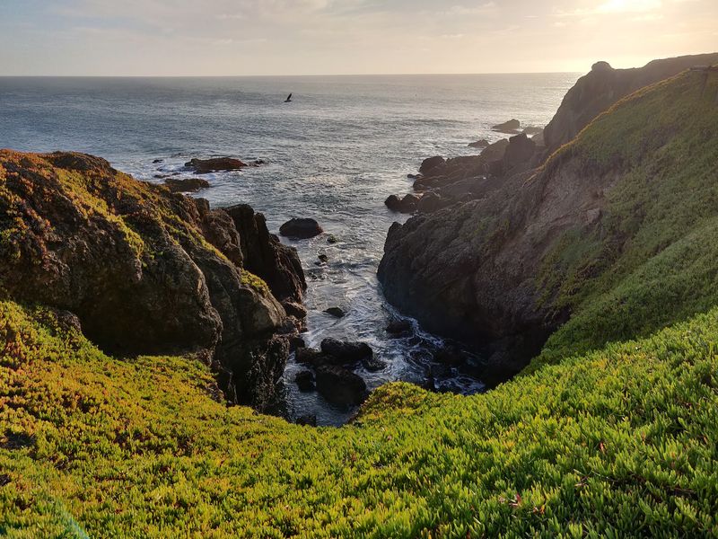 Whales, Seals, and Tide Pools Right Off the Bluff