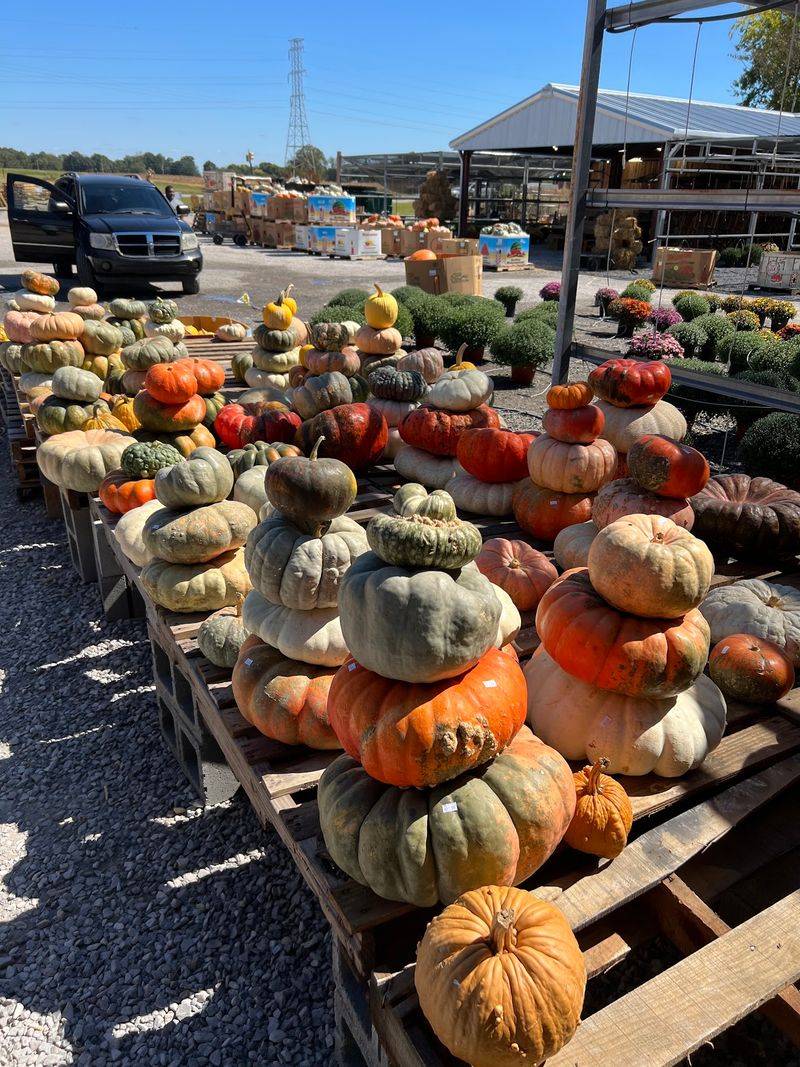 When Fall Rolls In, the Whole Market Changes Clothes When Fall Rolls In, the Whole Market Changes Clothes