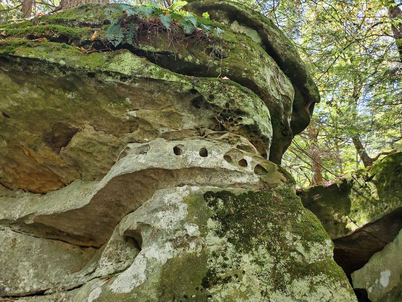 When These Rocks Sat Beneath an Ancient Sea When These Rocks Sat Beneath an Ancient Sea
