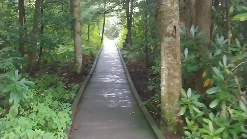When Wet Boards Call for Caution When Wet Boards Call for Caution