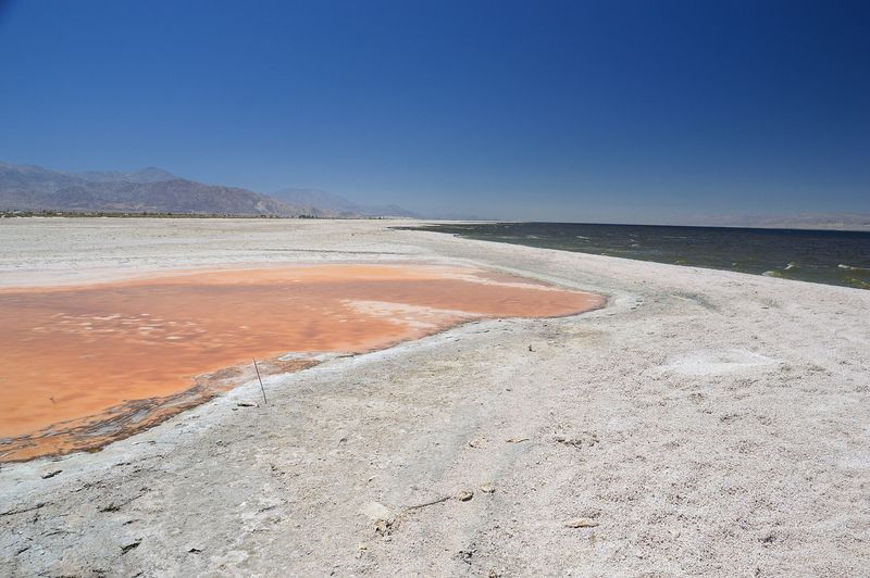 When the Shore Was Called the Salton Riviera When the Shore Was Called the Salton Riviera