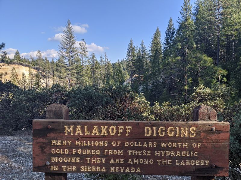 Where America's First Environmental Law Came From