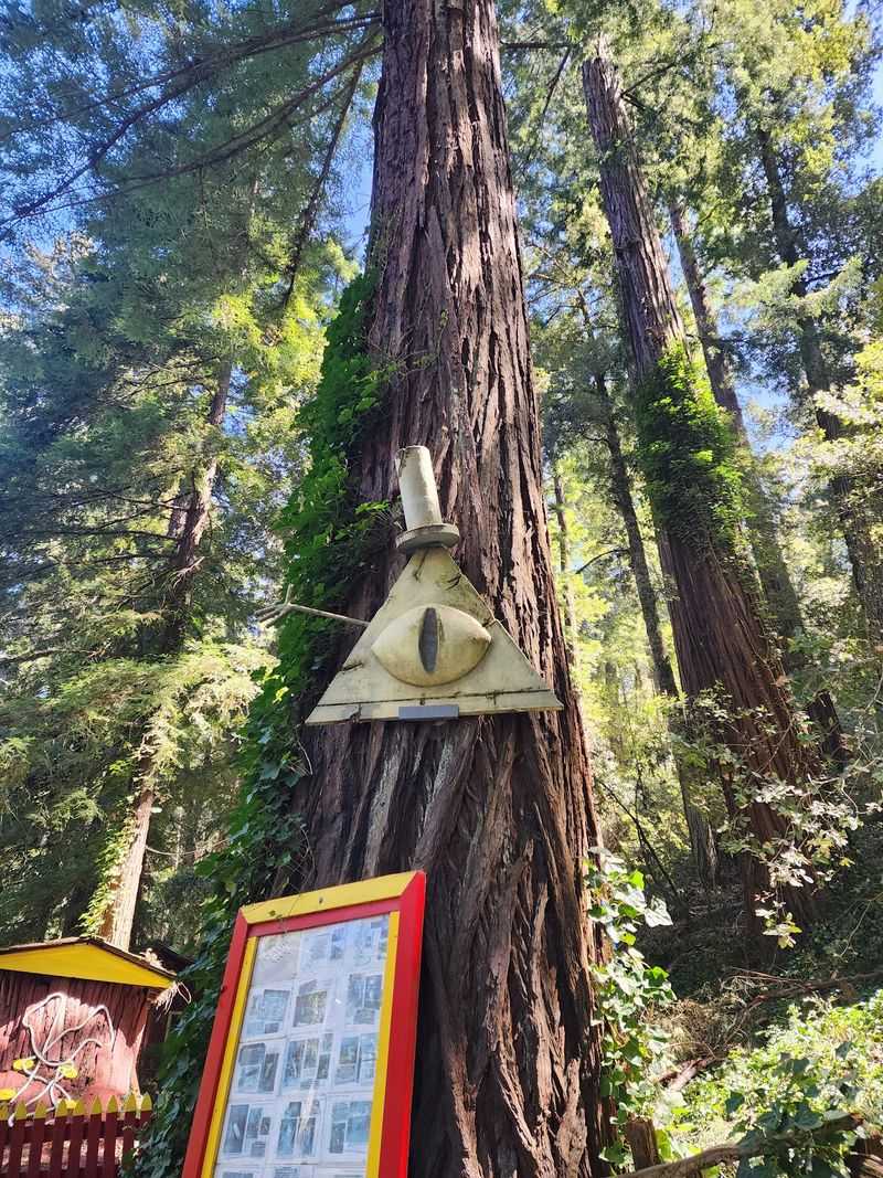 Where Gravity Falls Fans Come to Pay Their Respects Where Gravity Falls Fans Come to Pay Their Respects