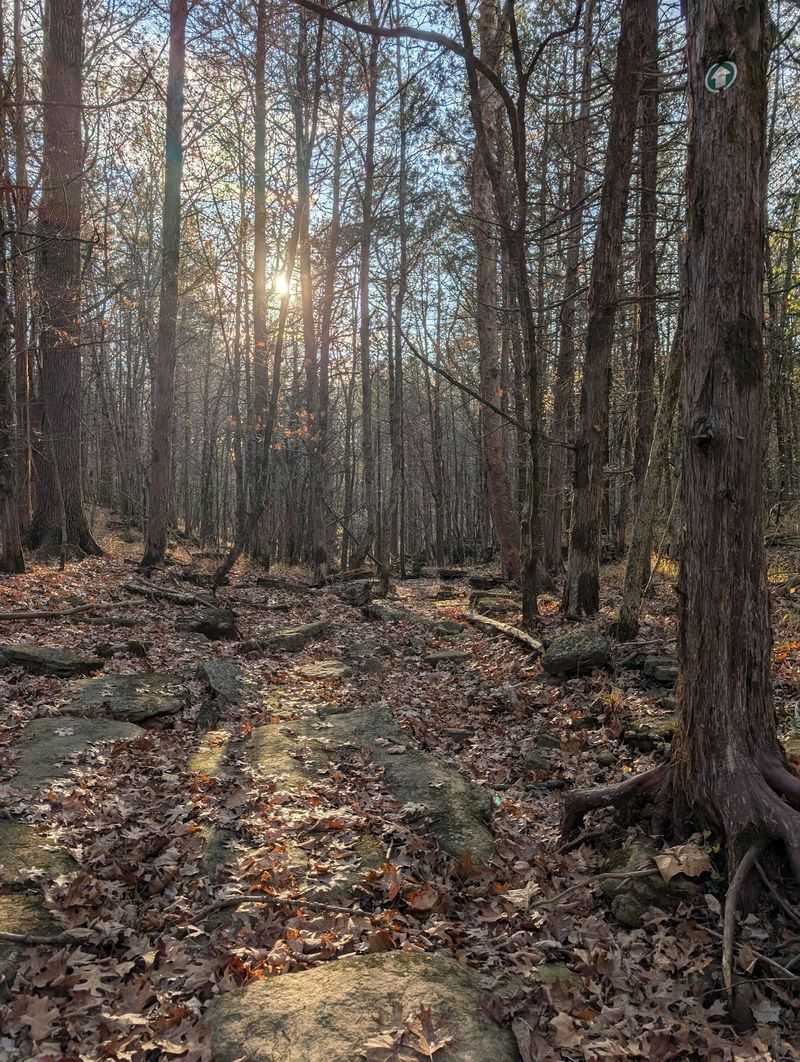 Where That Odd Trail Name Came From