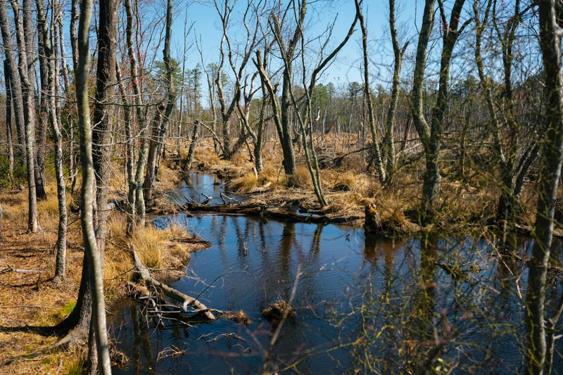Where Two Ecosystems Quietly Meet