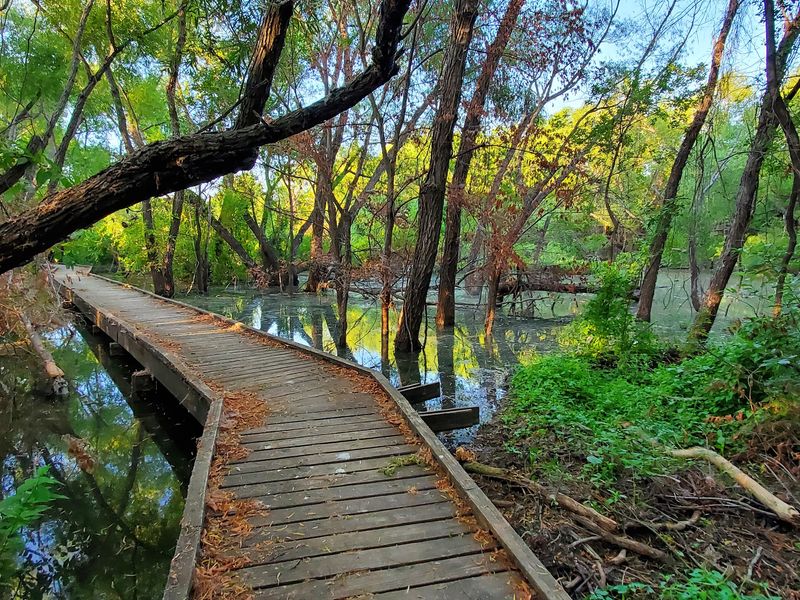 Where Two Texas Landscapes Collide Where Two Texas Landscapes Collide