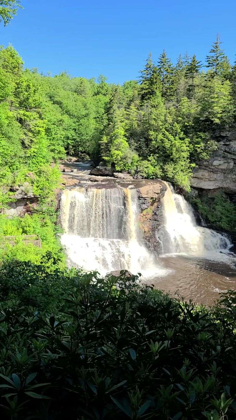 Where the Amber Water Falls Where the Amber Water Falls