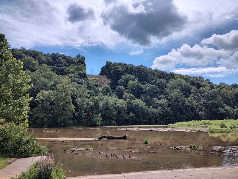 Where the Creek Meets the River Where the Creek Meets the River