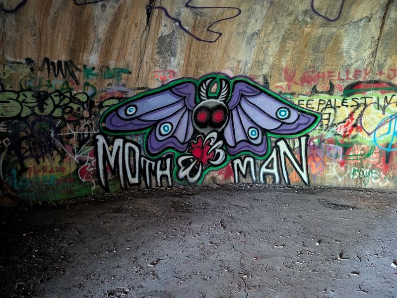 Where the Mothman Legend Took Flight