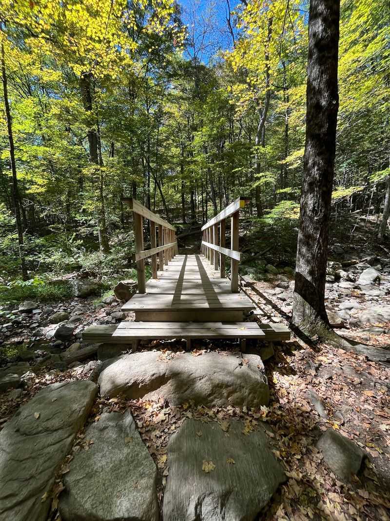 Where the Path Narrows and the Climb Begins
