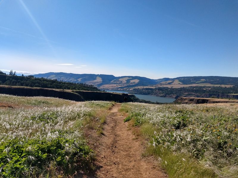Where the Preserve Sits and How to Find It Where the Preserve Sits and How to Find It