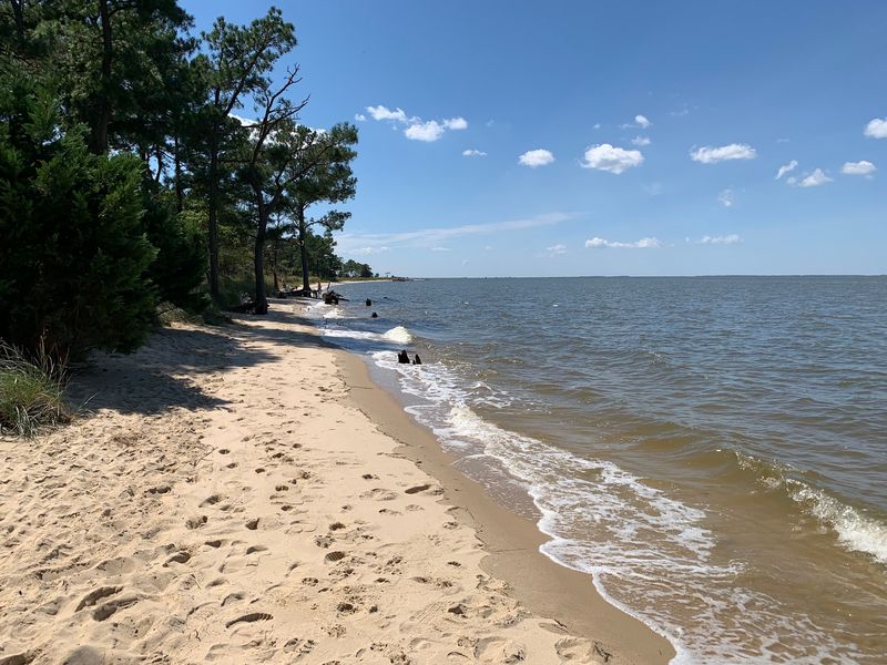 Where the River Opens Wide Toward the Bay