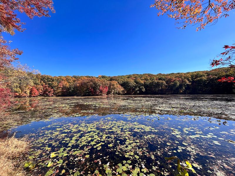 Where the Rockaway River Traces the Southern Edge