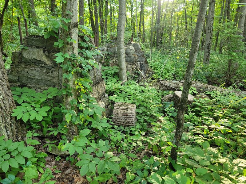 Where the Wildlife Management Area Takes Over