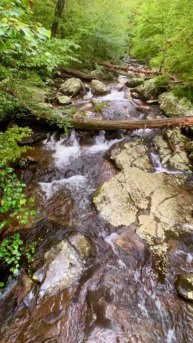 Whiteoak Canyon Trail, Shenandoah National Park Whiteoak Canyon Trail, Shenandoah National Park