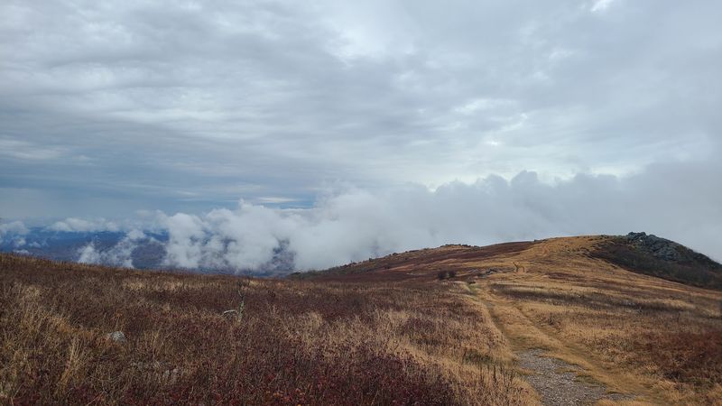 Whitetop Mountain Whitetop Mountain