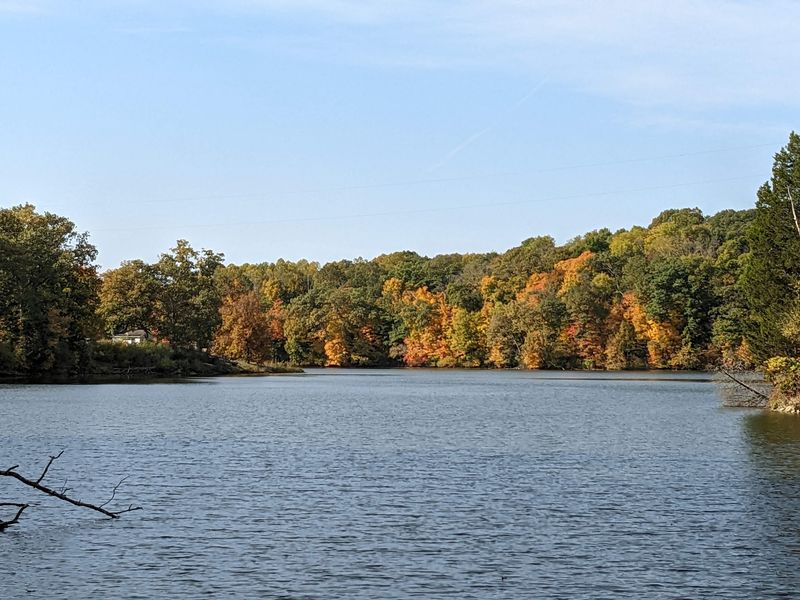 Whitewater Memorial State Park, Lakeside Calm And Golden Woods