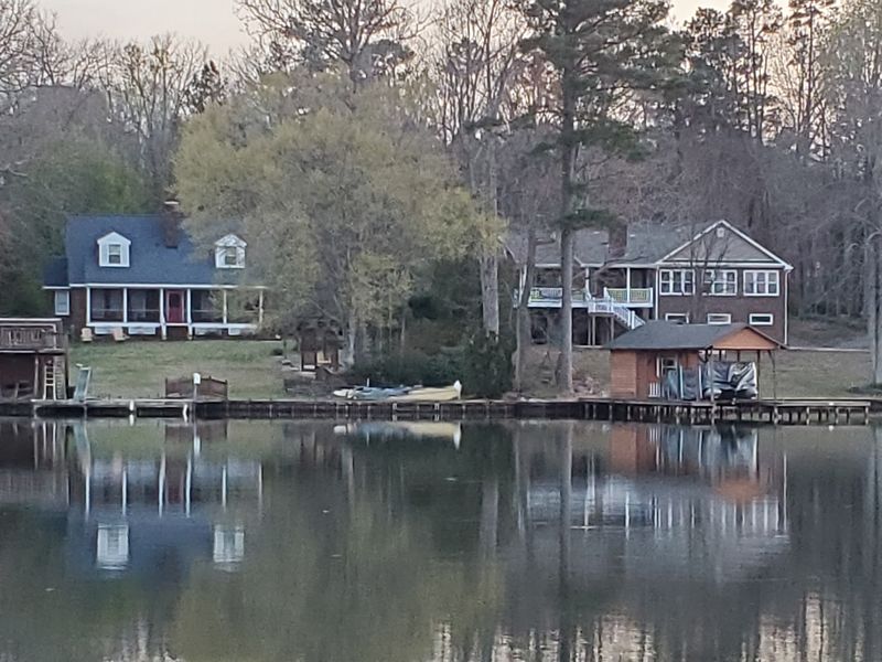 Why Snakes Love Lake Gaston So Much
