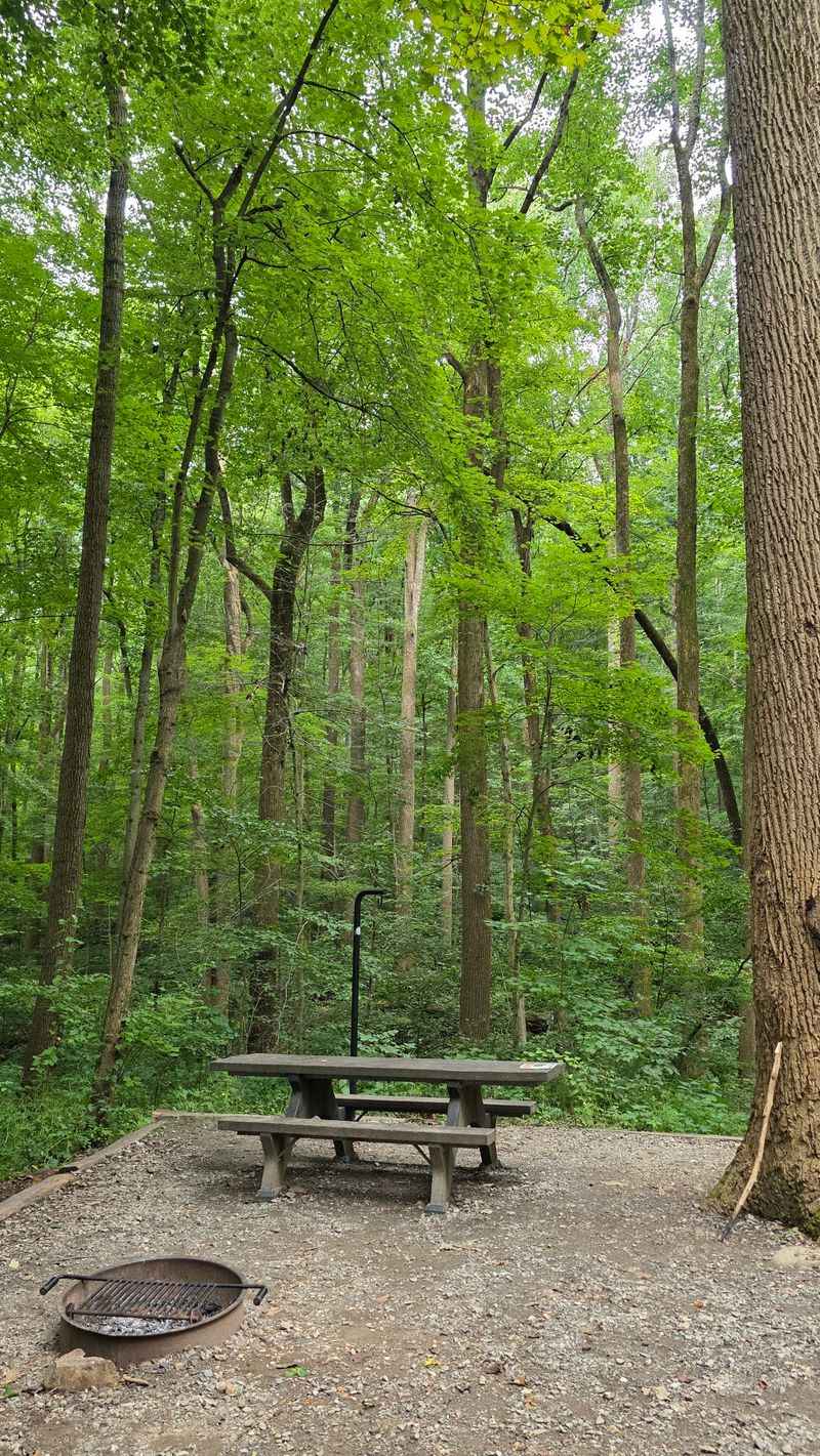 Why The Catoctin Foothills Make Fall Camping Worth It Why The Catoctin Foothills Make Fall Camping Worth It
