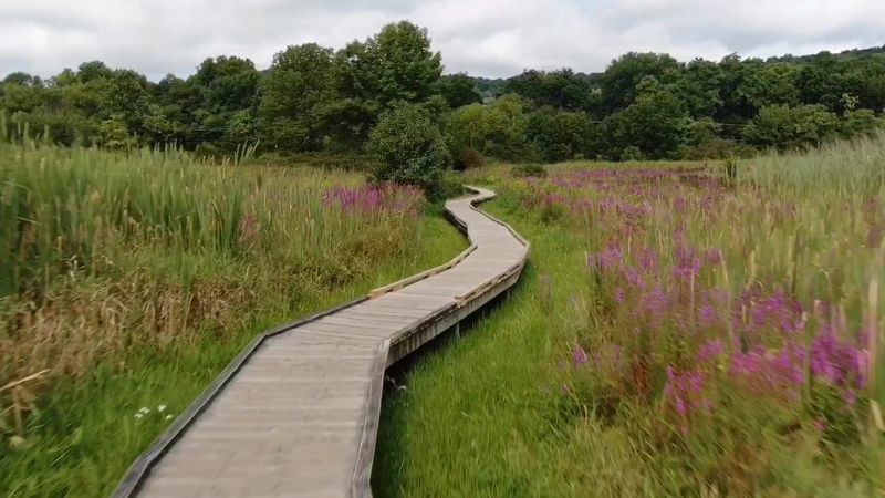Why This Boardwalk Stays With You Why This Boardwalk Stays With You