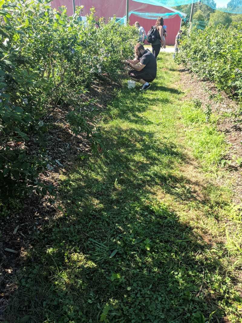 Why This Little Farm Keeps Winning Hearts