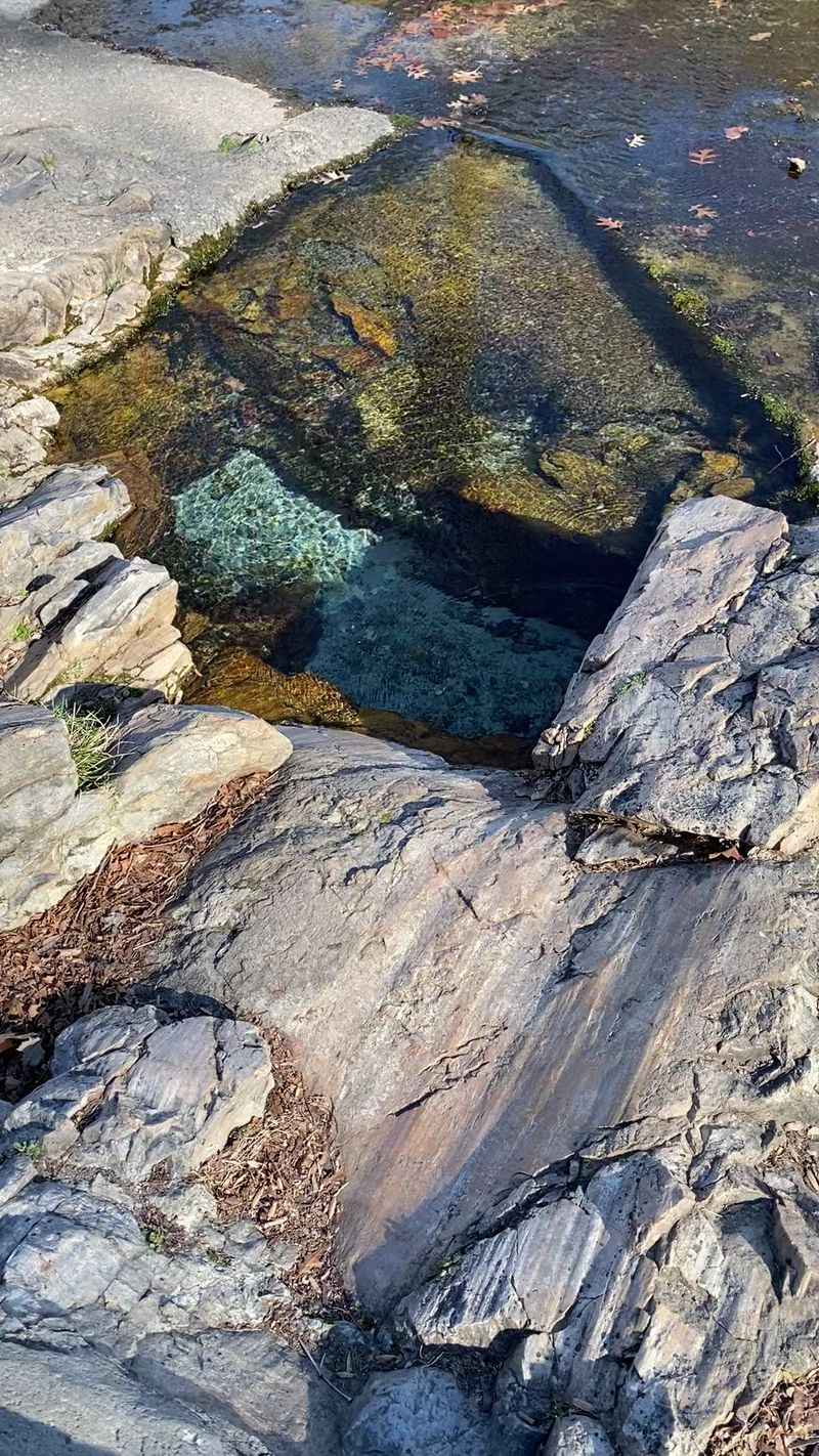 Why This Little Spring Stays With You