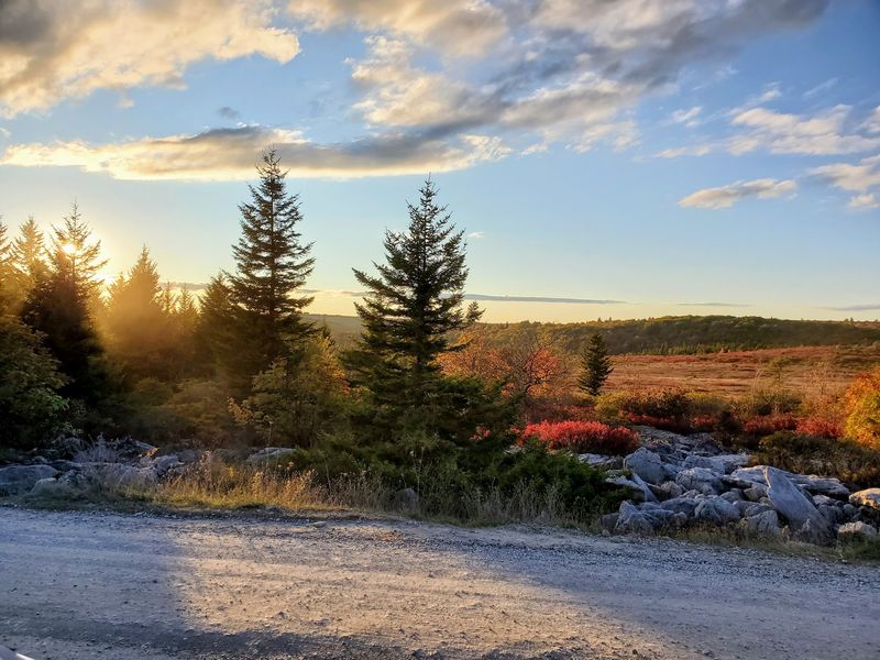 Why This Wilderness Stays With You