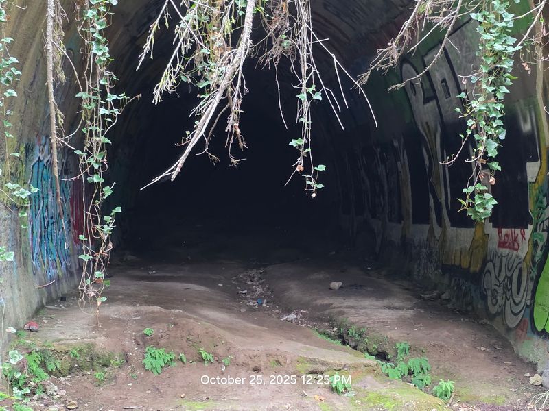Why the Tunnel Is Off Limits Today
