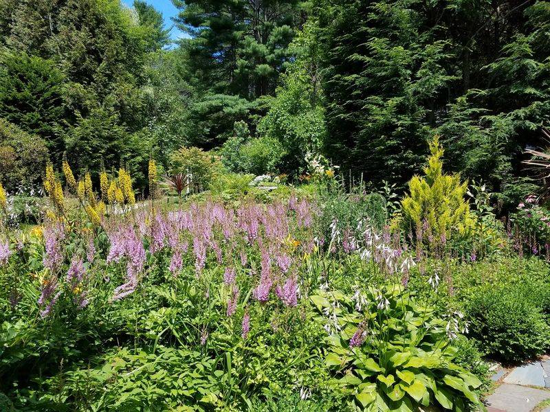 Wild Borders That Refuse to Behave Wild Borders That Refuse to Behave