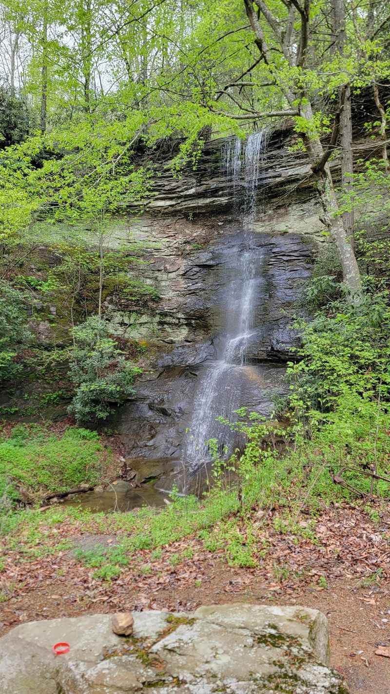 Wildlife And Hidden Landmarks Along The Way