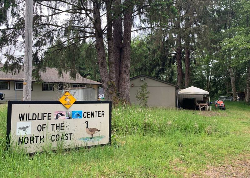 Wildlife Center of North Coast, Astoria, OR
