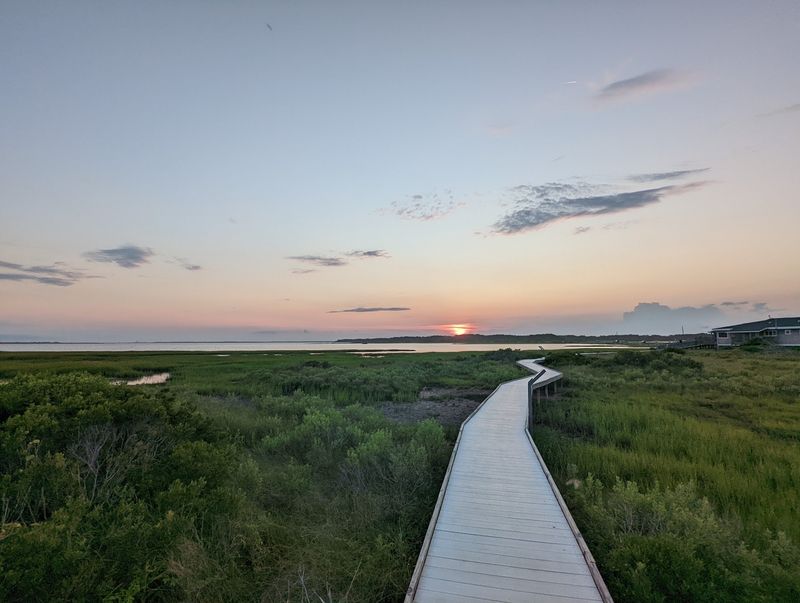 Wildlife Loop Is The Easiest Win On The Whole Island Wildlife Loop Is The Easiest Win On The Whole Island