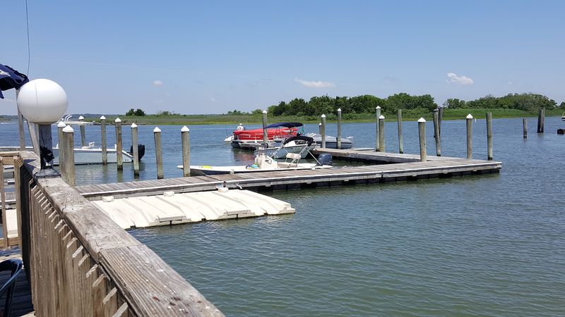 Wildlife Trails And Dolphin Cruises Just Beyond Town Wildlife Trails And Dolphin Cruises Just Beyond Town
