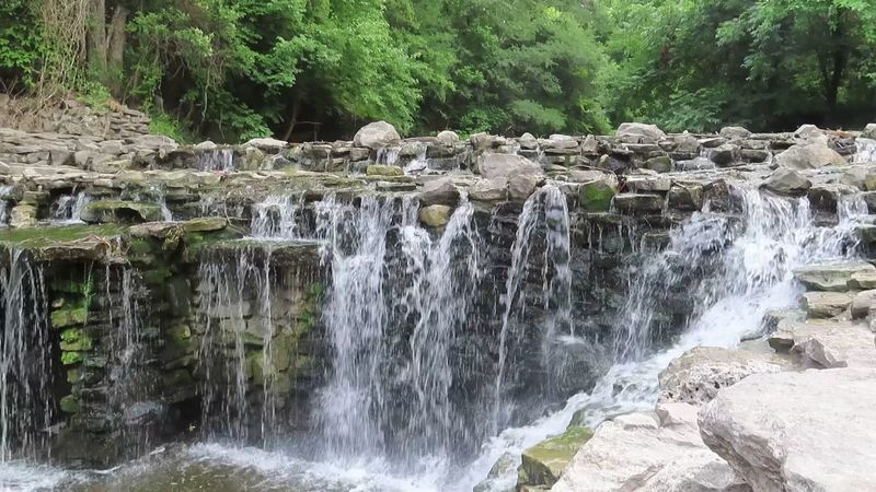 Wildlife Watching Without Leaving The City